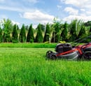 Spring Awakening: The Best Fertilization Schedule for Maryland & Virginia Lawns