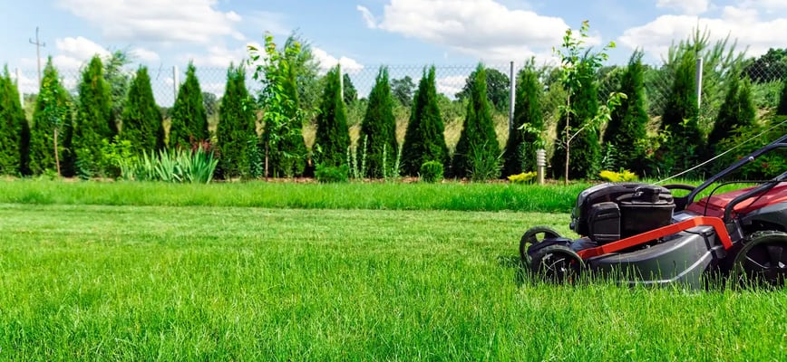 Spring Awakening: The Best Fertilization Schedule for Maryland & Virginia Lawns