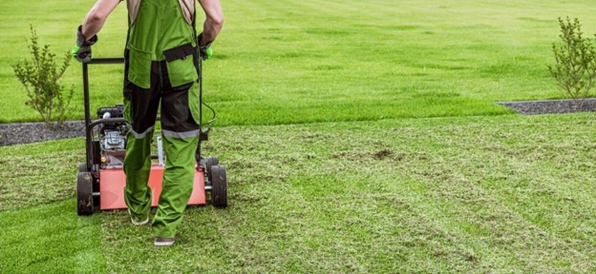 What is Brown Patch Disease?