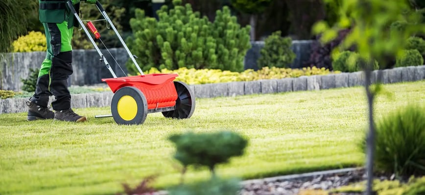 Fertilizing Before Winter is Pointless