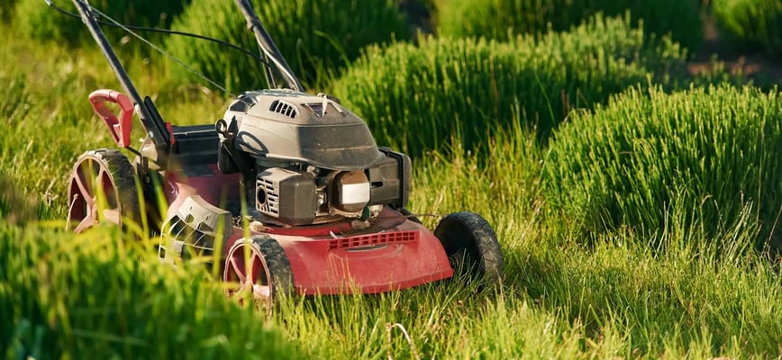 Mowing Is Not Needed in Late Fall