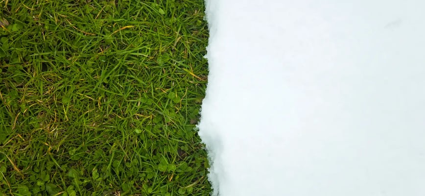 Winter Lawn Care Myths: What Really Helps Your Grass in the Off-Season?