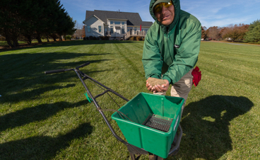 Aeration And Seeding